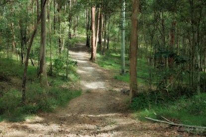 Whites Hill Reserve Autumn 2015-18